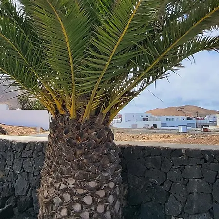 Апартаменты Casa Palmeritas *